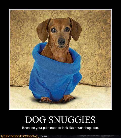 dog snuggies.jpg