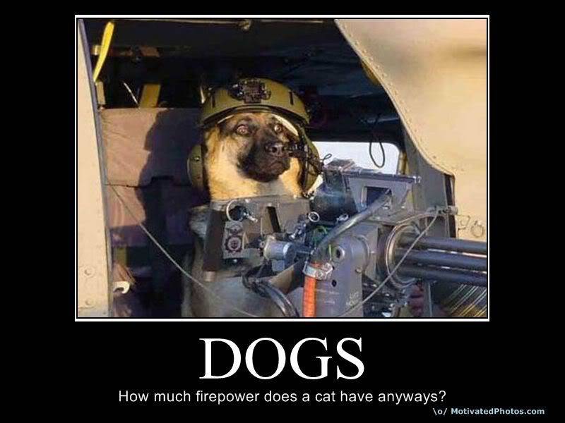 Dogs.jpg
