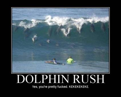 dolphin rush.jpg