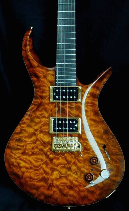 Dris Tiger Quilt.jpg