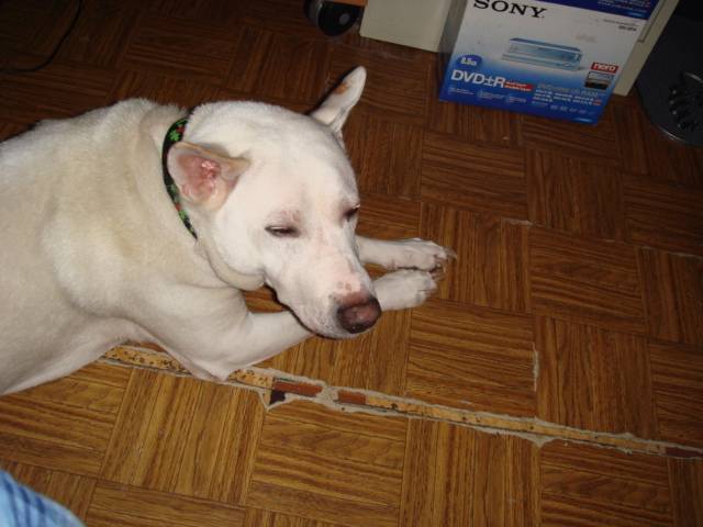 DSC00033.JPG