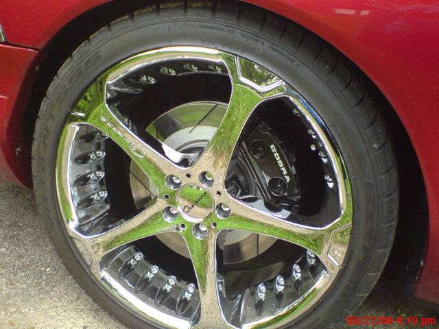 DSC00194.JPG