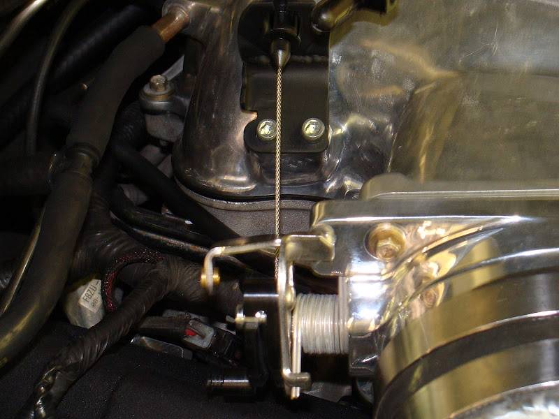 DSC00953.jpg