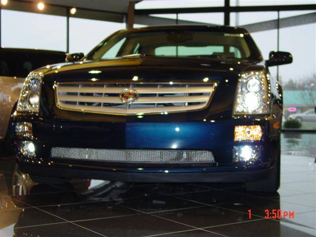 DSC01002 (Small).JPG