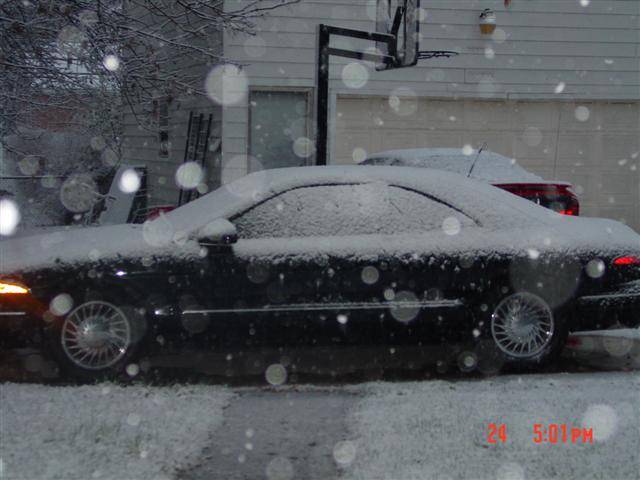 DSC01027.JPG