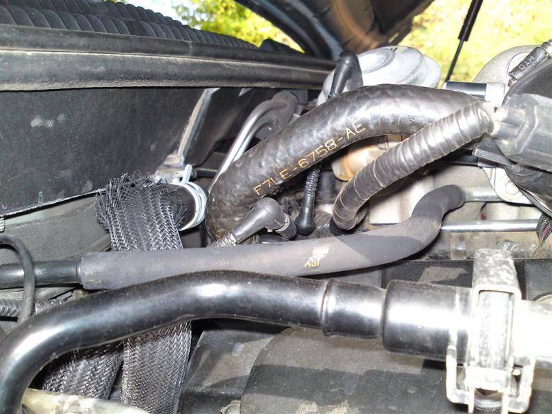 DSC01197 (Medium).jpg