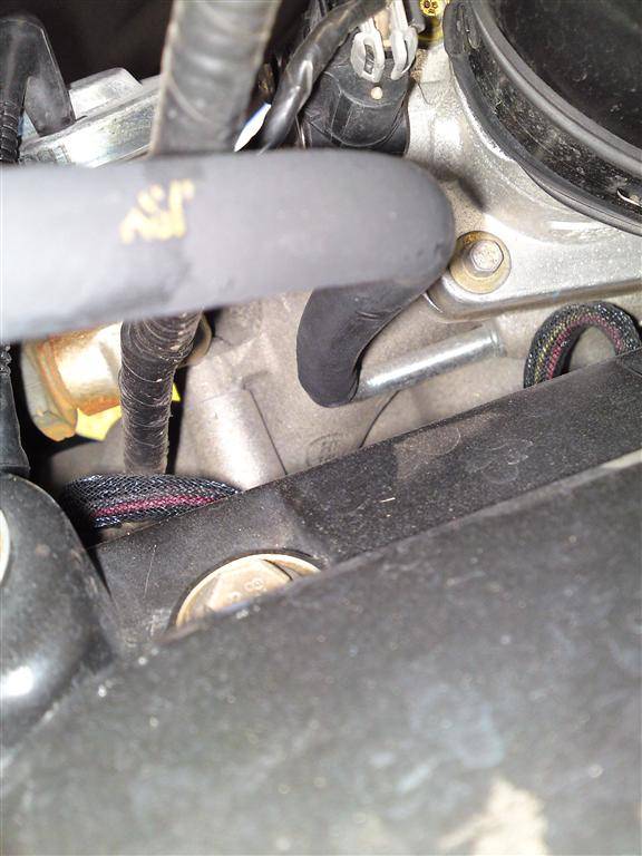 DSC01198 (Medium).JPG