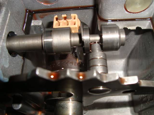 DSC01657.jpg