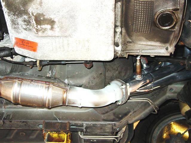 DSC01993 (Small).JPG