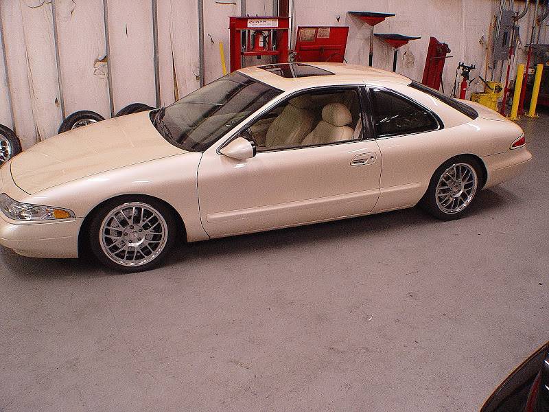 DSC03337.jpg