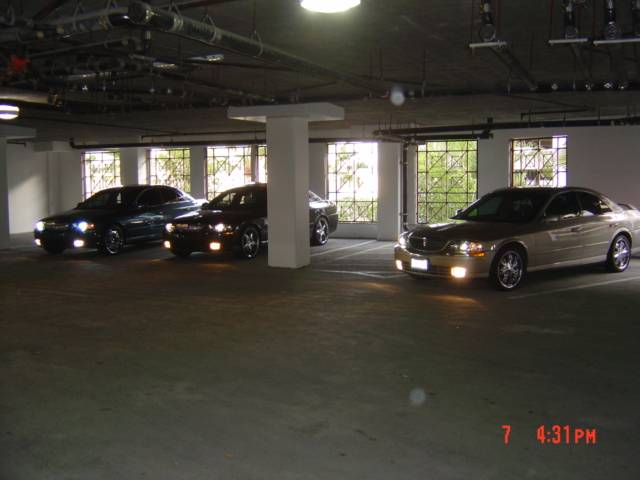 DSC03501.JPG