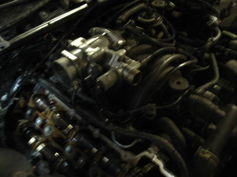 DSC03696.jpg