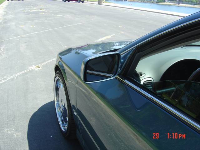 DSC03735.JPG