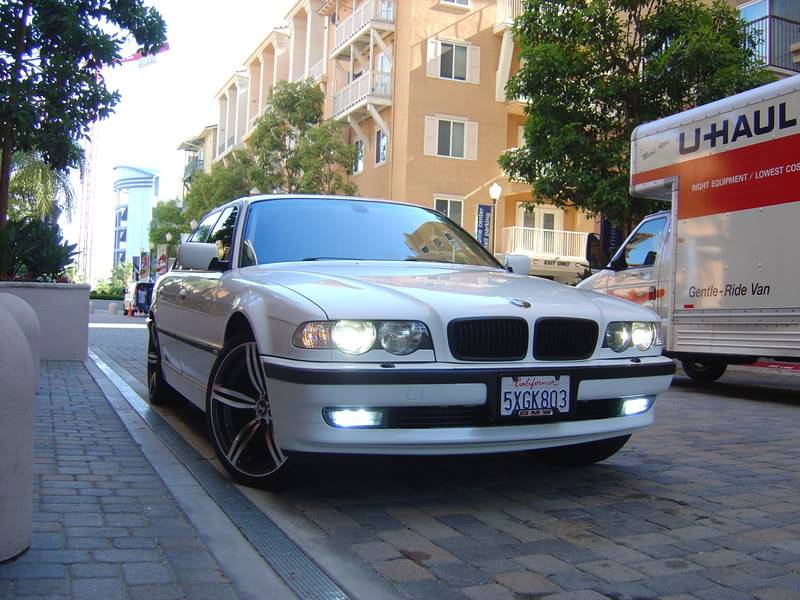 DSC04931.jpg