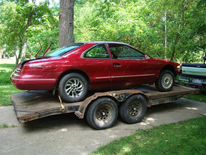 DSC06206 (Medium).jpg