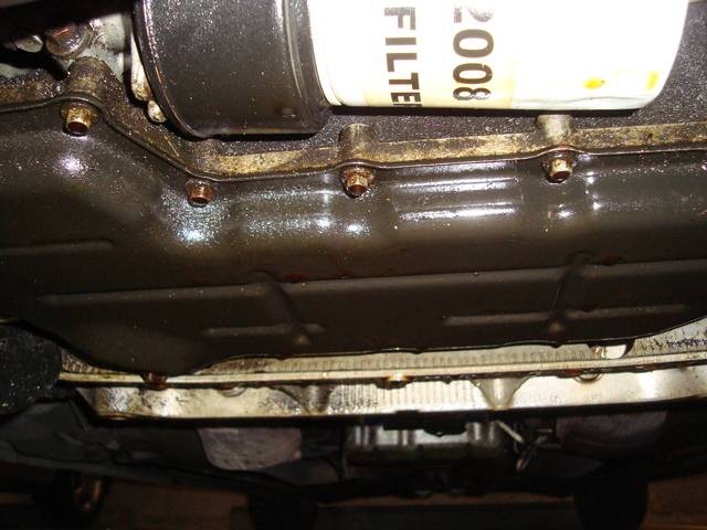 DSC06499.jpg