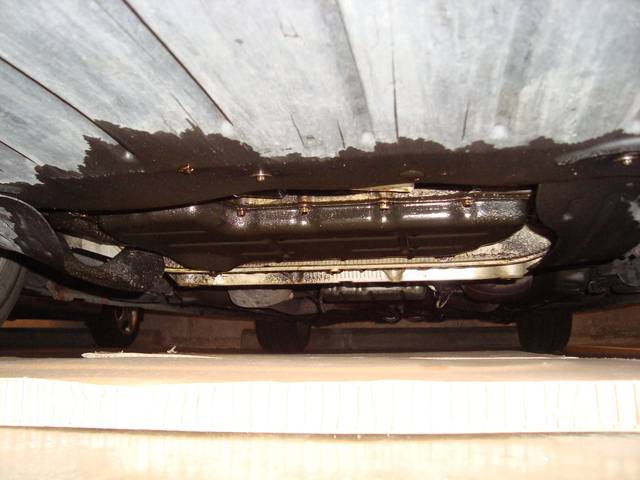 DSC06500.jpg