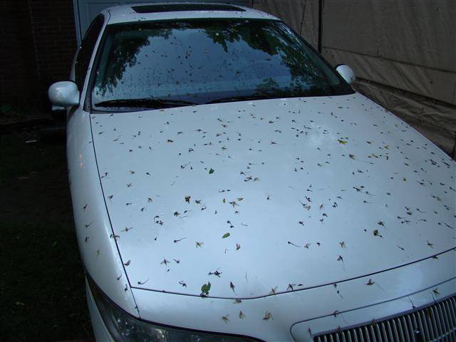 DSC09301 (Small).JPG