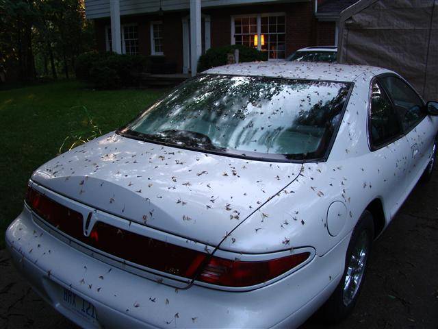 DSC09302 (Small).JPG