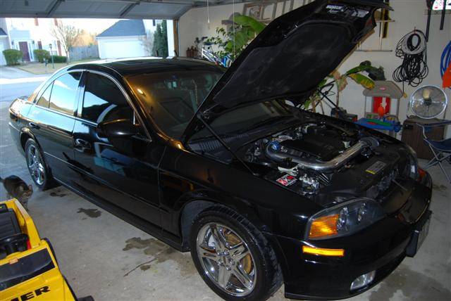 DSC_0469 (Small).JPG