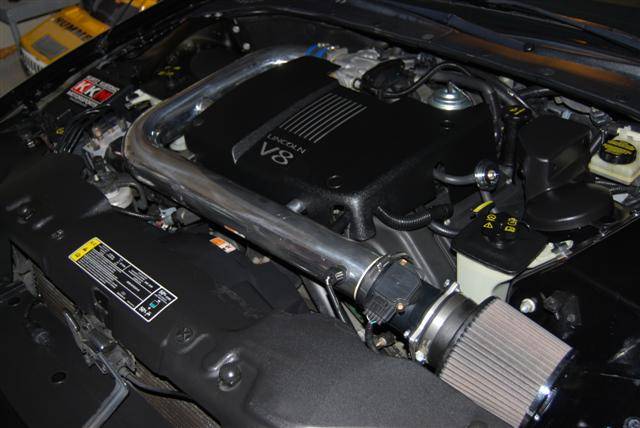 DSC_0473 (Small).JPG