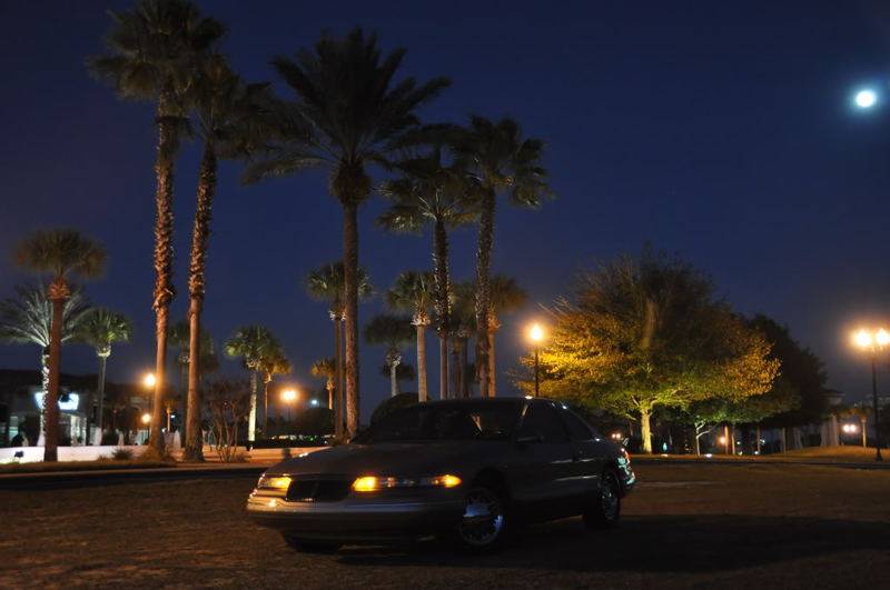 DSC_6626.jpg