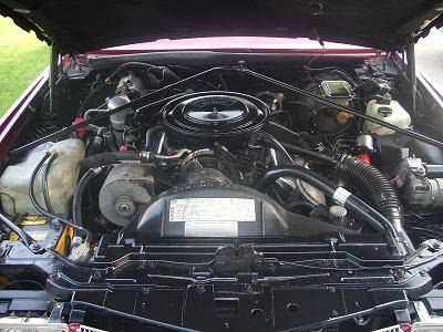 DSCF0025.JPG