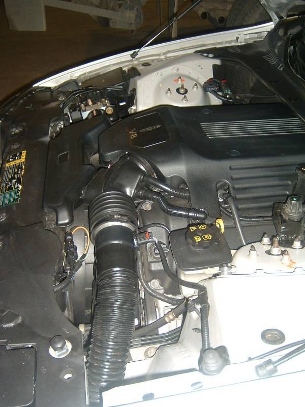 DSCF0178.JPG