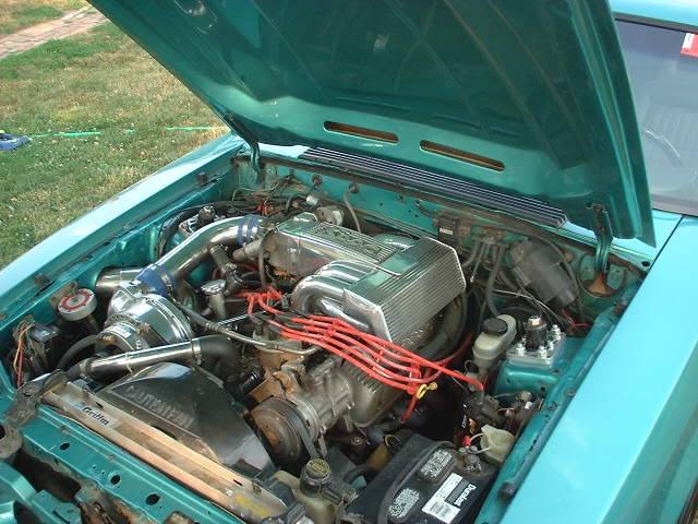 DSCF0336.jpg