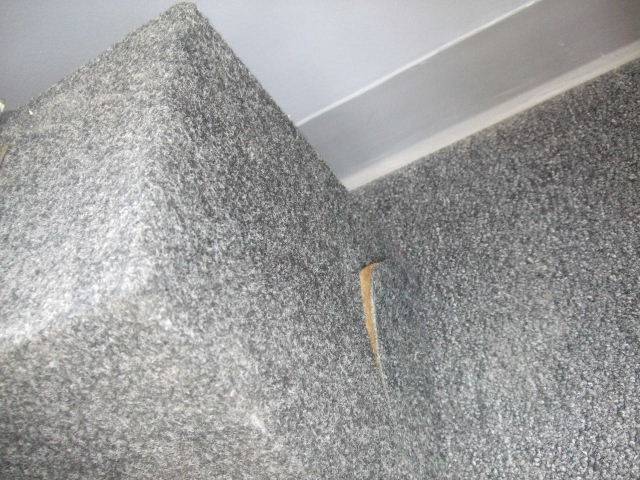 DSCF0863.JPG