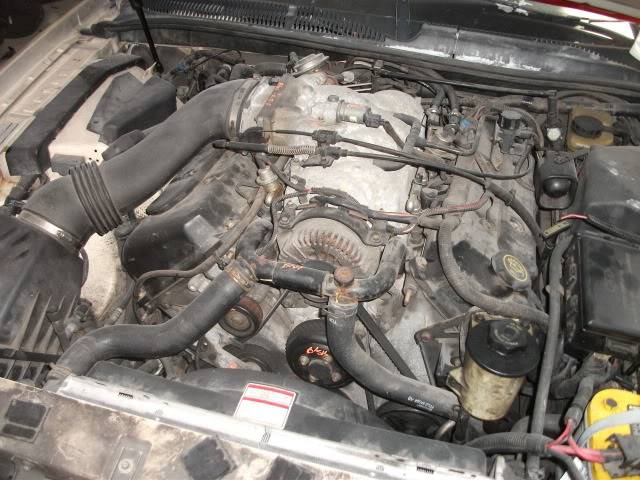 DSCF1110.jpg