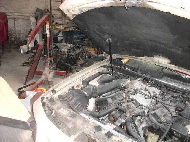 DSCF1111.jpg