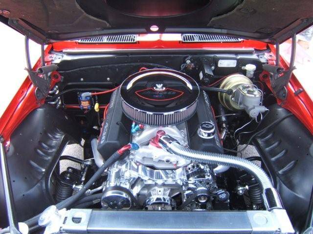 DSCF2772.jpg