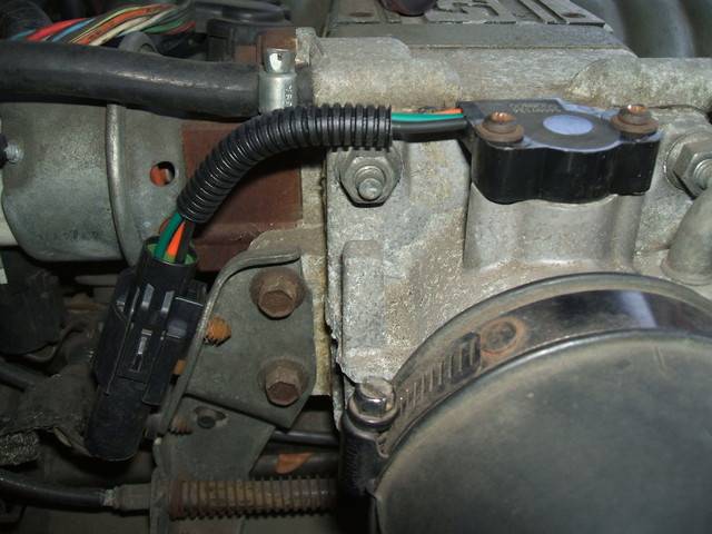 DSCF3107.sized.jpg