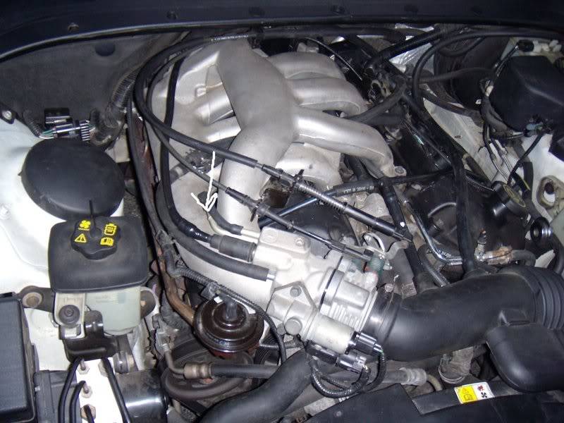 DSCN0216.jpg