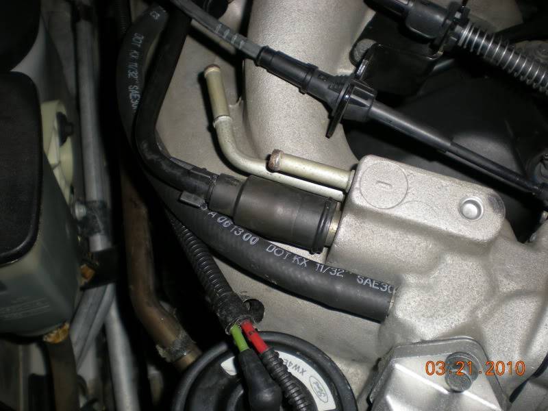 DSCN3135.jpg