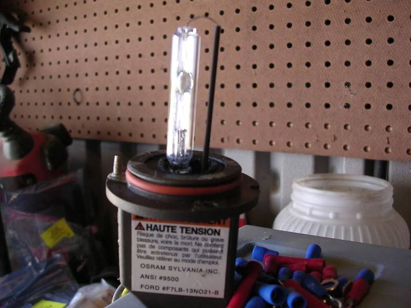 DSCN4866.jpg