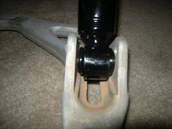 DSCN5255.JPG