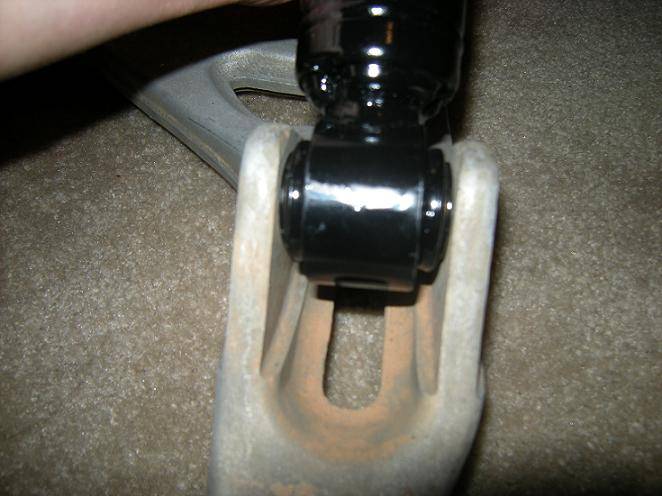 DSCN5256.JPG
