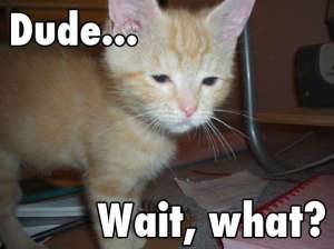 Dude_wait.jpg