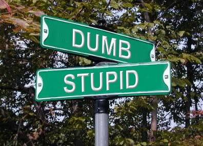 dumb_and_stupid.jpg