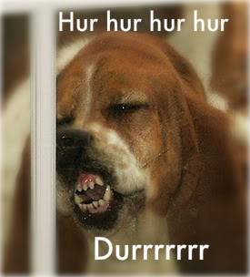 durrhurrbasset1.jpg