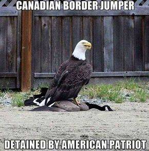Eagle-Goose.jpg