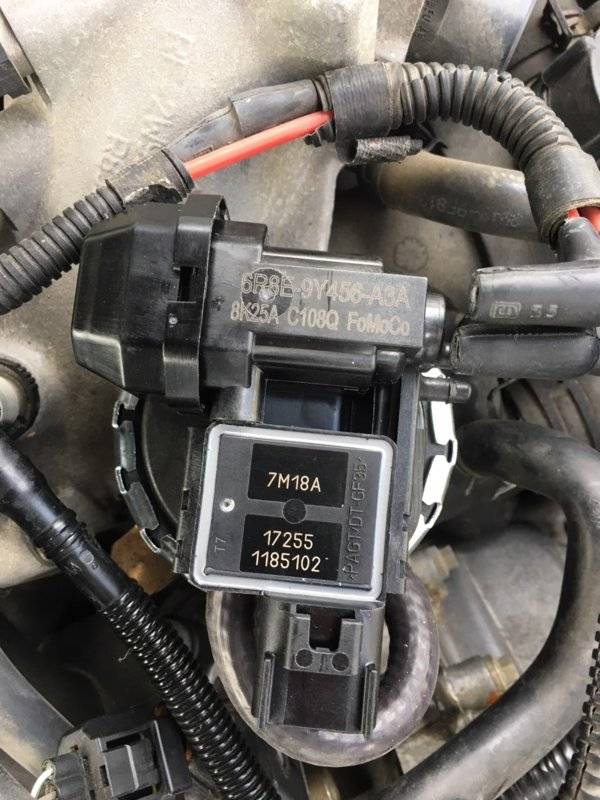 egr pic.jpg
