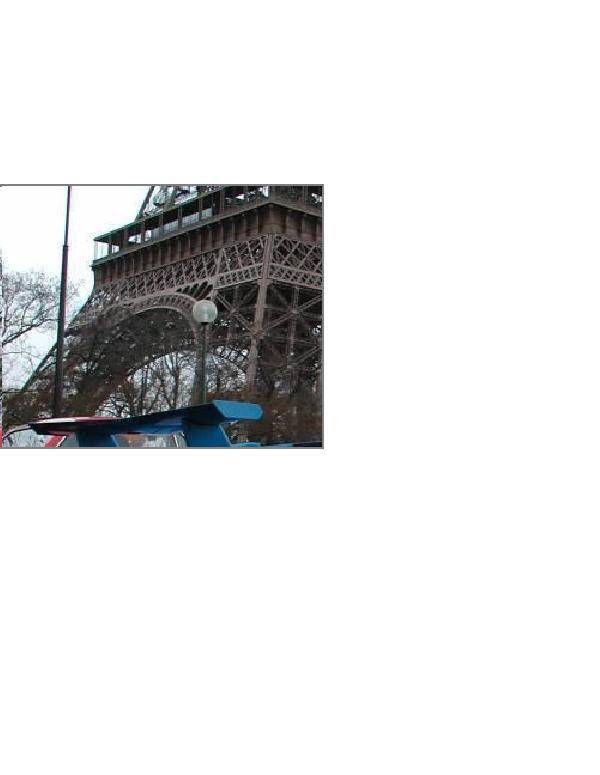 eiffeltowerbluewing.jpg
