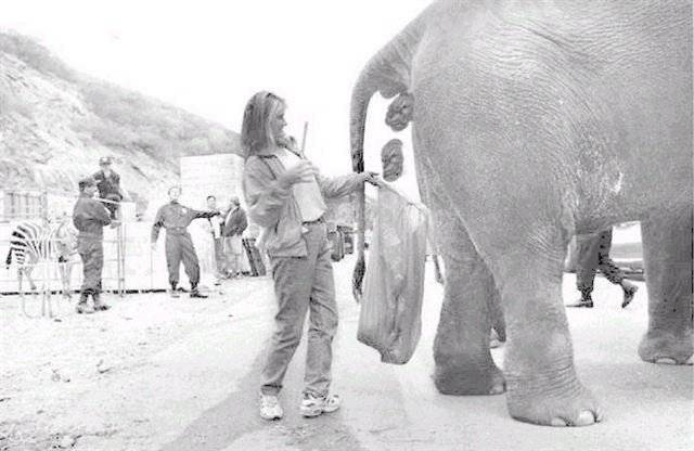 Elephant Poop.jpg