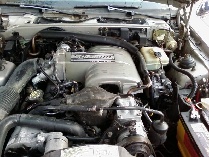 engine.jpg
