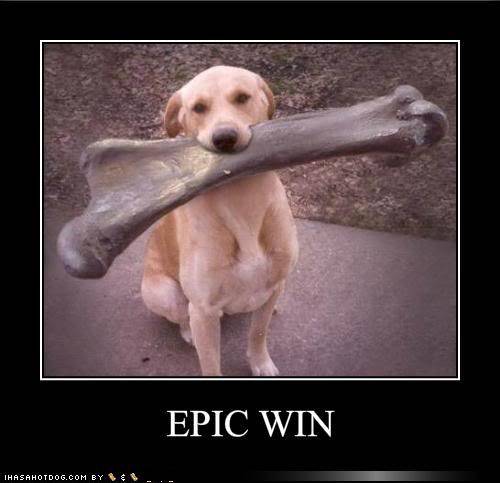 epic-win.jpg