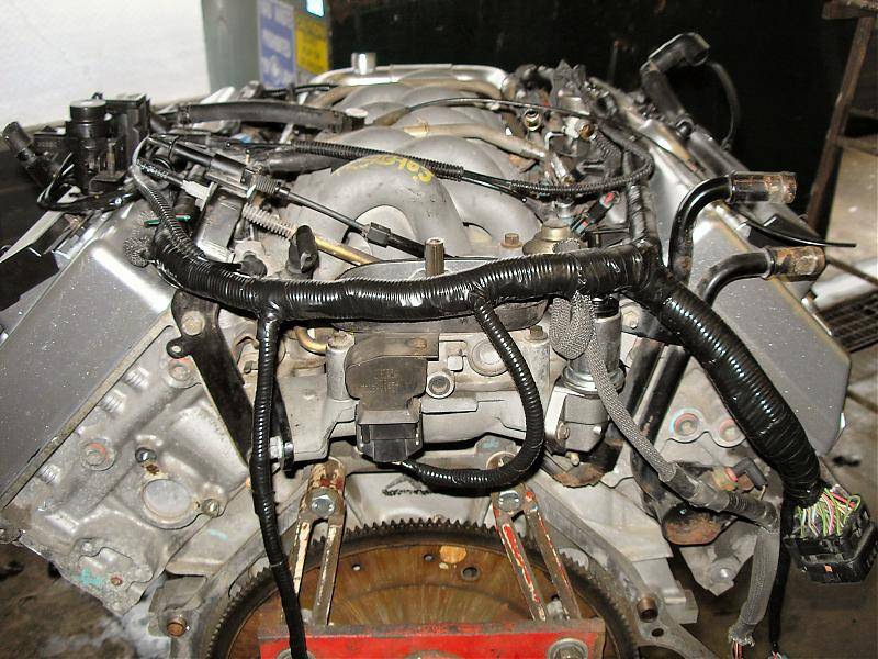 erics new eng 45.jpg