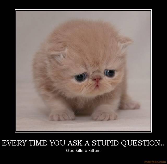every-time-you-ask-a-stupid-question-don-t-ask-stupid-questi-demotivational-poster-1254962052.jpg